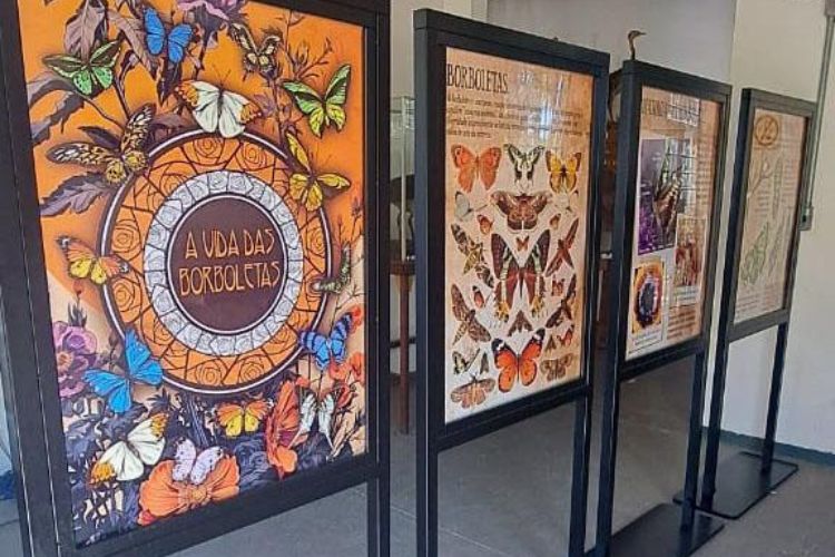 Zoo de Guarulhos abriga exposição sobre borboletas e muitas atividades